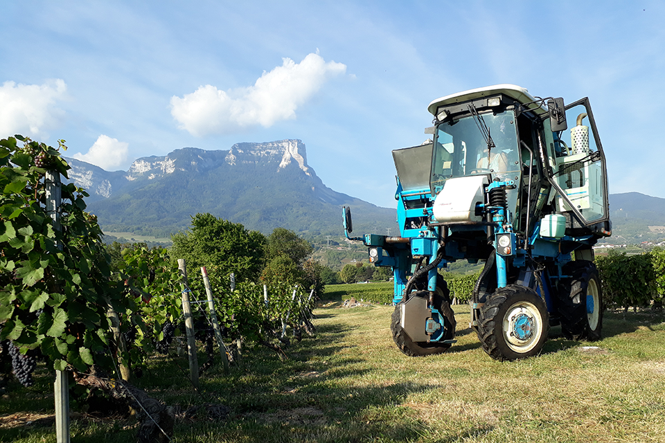 Notre domaine Domaine des Anges