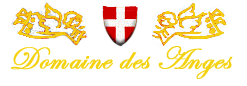 logo247x86
